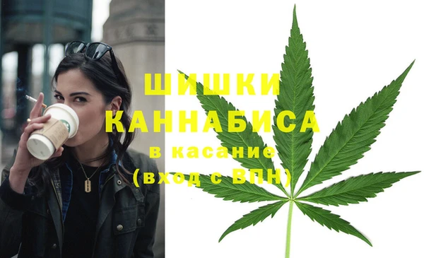 ПСИЛОЦИБИНОВЫЕ ГРИБЫ Алзамай