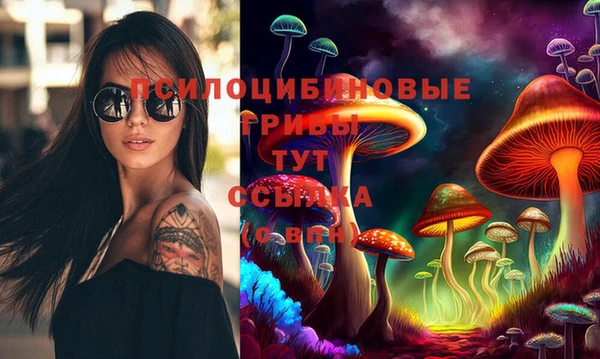 ПСИЛОЦИБИНОВЫЕ ГРИБЫ Алзамай