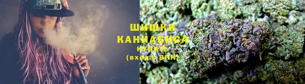 ПСИЛОЦИБИНОВЫЕ ГРИБЫ Алзамай